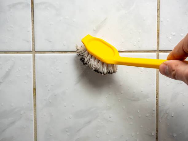 Best Mold Remediation for Schools in Santa Moni, CA